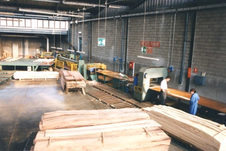 Linea Taglierinatura 5200